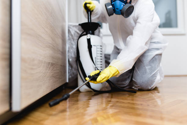 Best Affordable Pest Control Services  in Pleasant Hill, PA