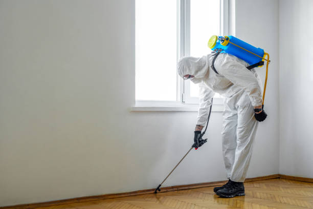 Best Cockroach Control Services  in Pleasant Hill, PA